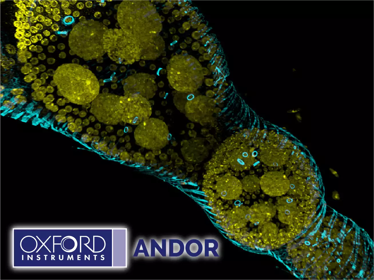 Andor Benchtop Confocal